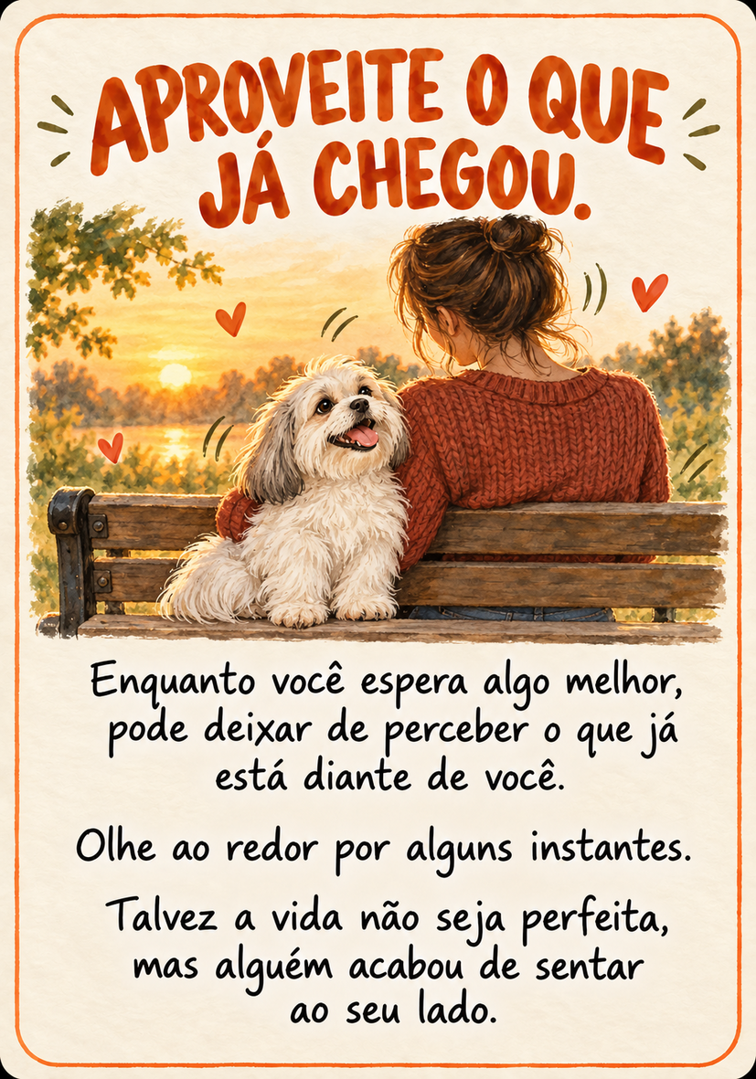 Carta do conjunto Cãoselhos do meu Dog: Aproveite o que já chegou